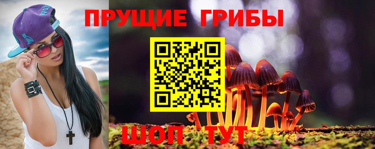 Псилоцибиновые грибы ЛСД Псков